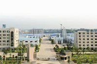 fun88,油茶莳植生产加工销售,植物油莳植生产加工销售