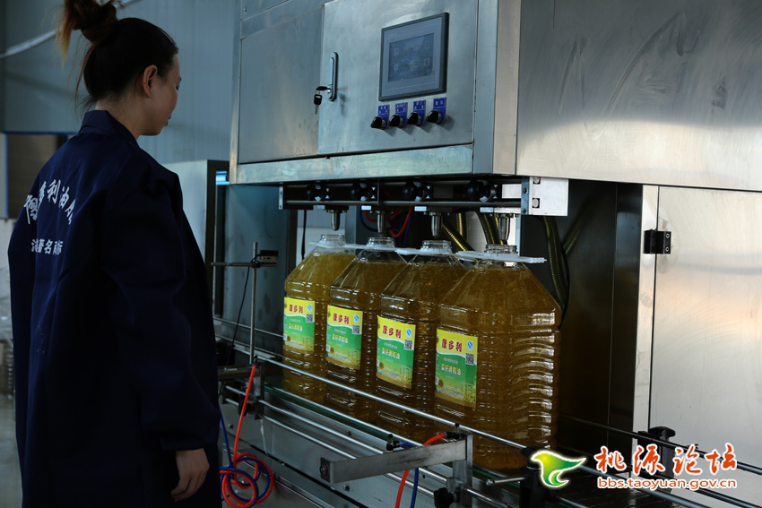 fun88,油茶莳植生产加工销售,植物油莳植生产加工销售