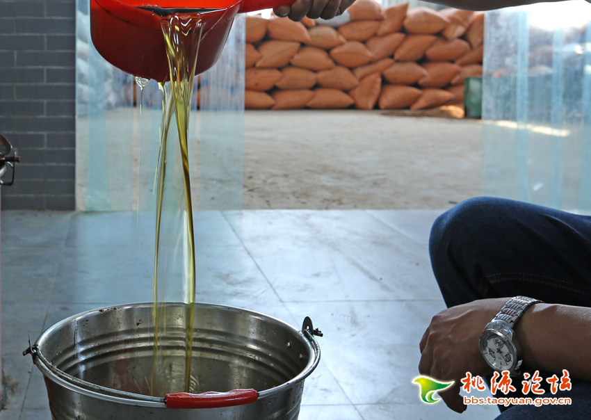 fun88,油茶莳植生产加工销售,植物油莳植生产加工销售