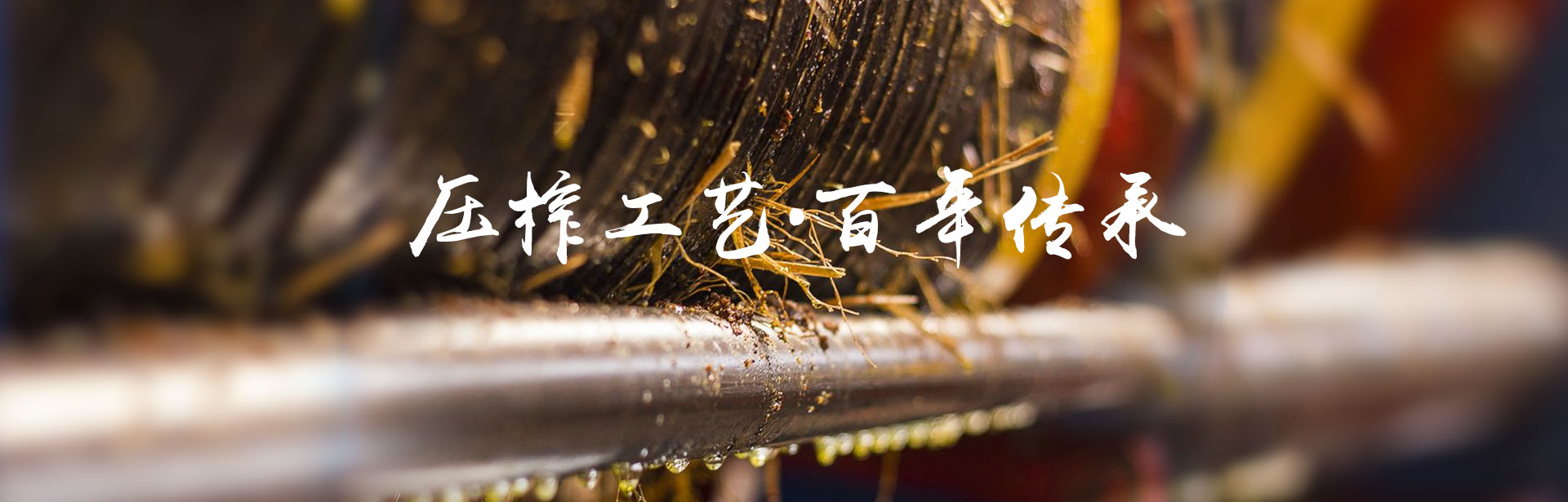 fun88_油茶莳植生产加工销售|植物油莳植生产加工销售