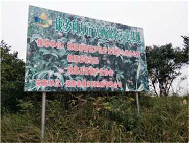 fun88,油茶莳植生产加工销售,植物油莳植生产加工销售