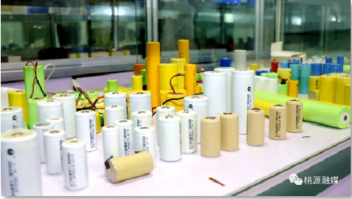 fun88,油茶莳植生产加工销售,植物油莳植生产加工销售